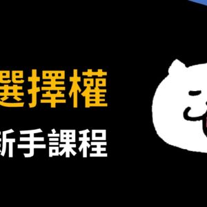 文章轉影片的簡報 選擇權新手課程